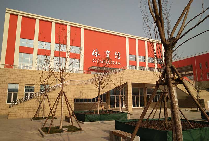 學校體育運動木地板